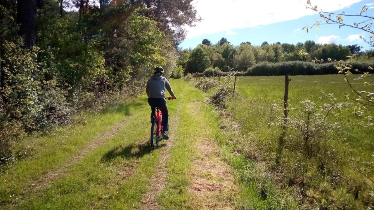 Gite Des Gravets Sigalens Екстериор снимка